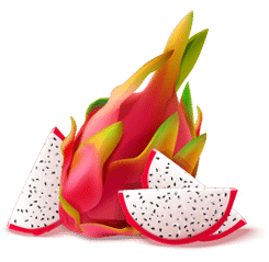 15c99777 Illustration 1 2